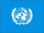 United Nations mini flag